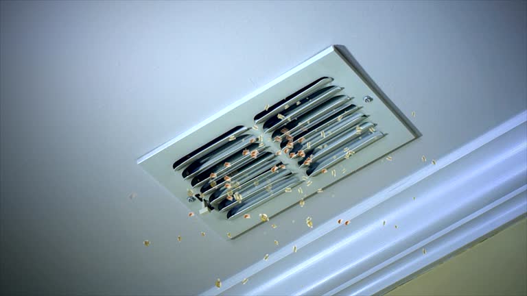 Affordable HVAC Duct Cleaning in Hazel Crest, IL