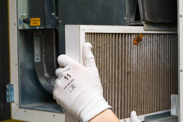 Best Air Duct Sanitizing Services  in Hazel Crest, IL